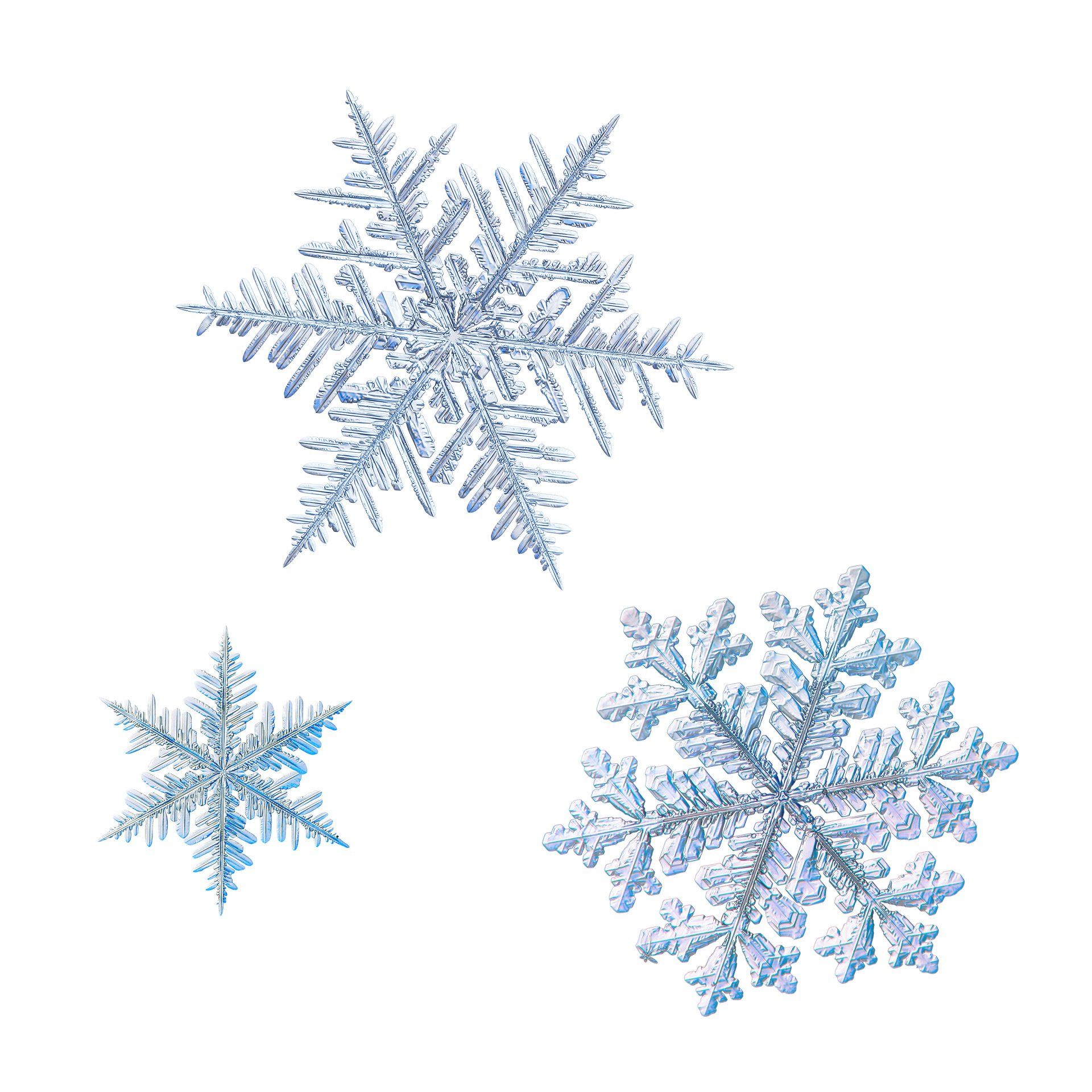 Schnee-Räumen & Eisflächen entfernen im Winterdienst