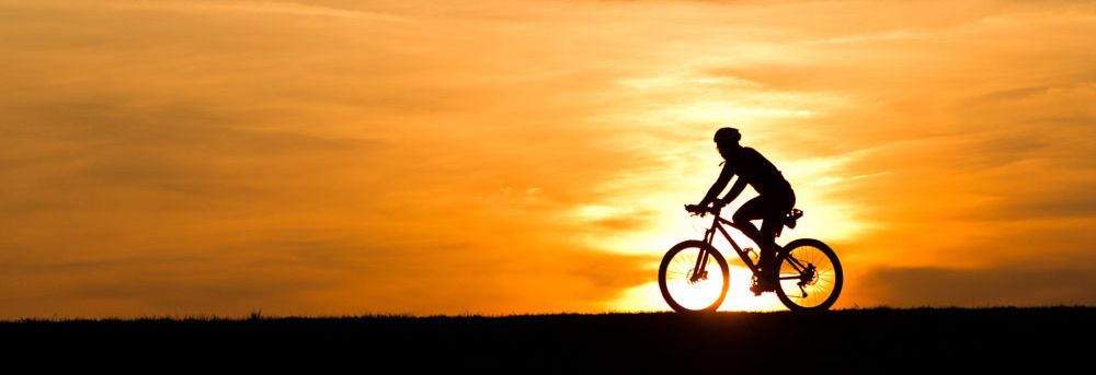 bikes in the Otago region