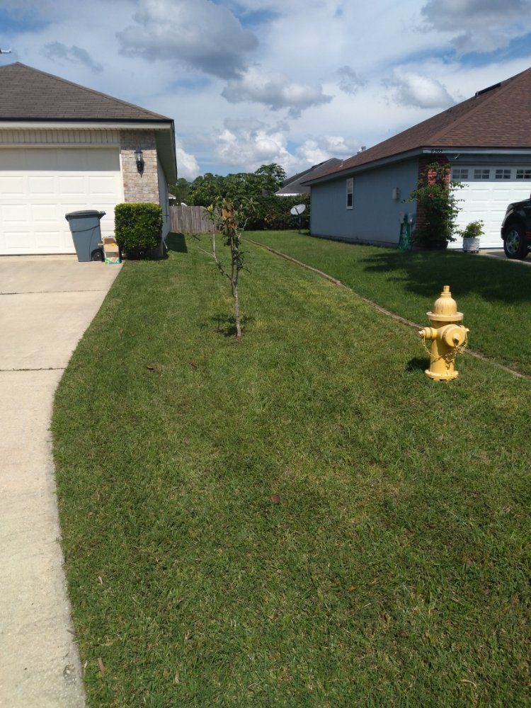 Modern living room with white sofas, large window, and indoor plant.