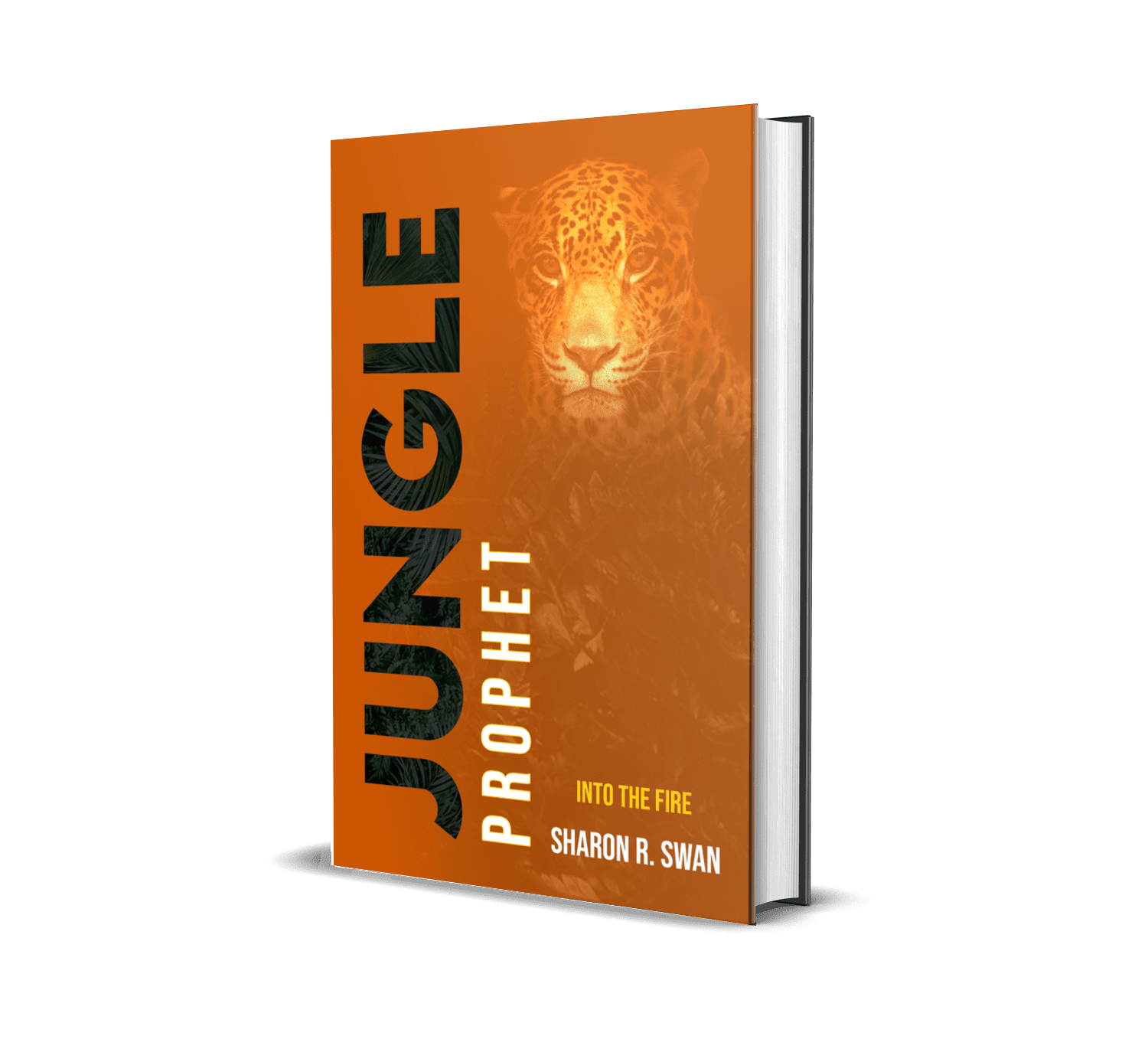 Orange book cover titled 