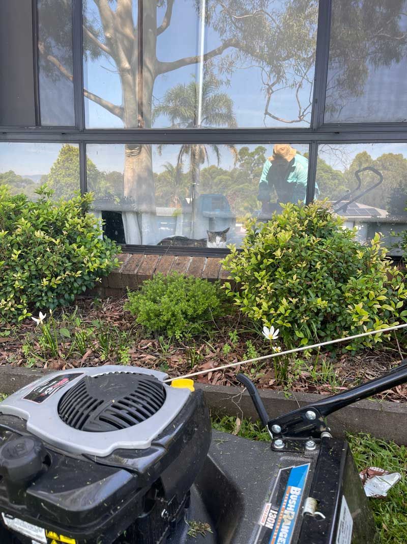 A Lawn Mower is Parked in Front of a Building — Illawarra Gardening Landscapes in Blackbutt, NSW