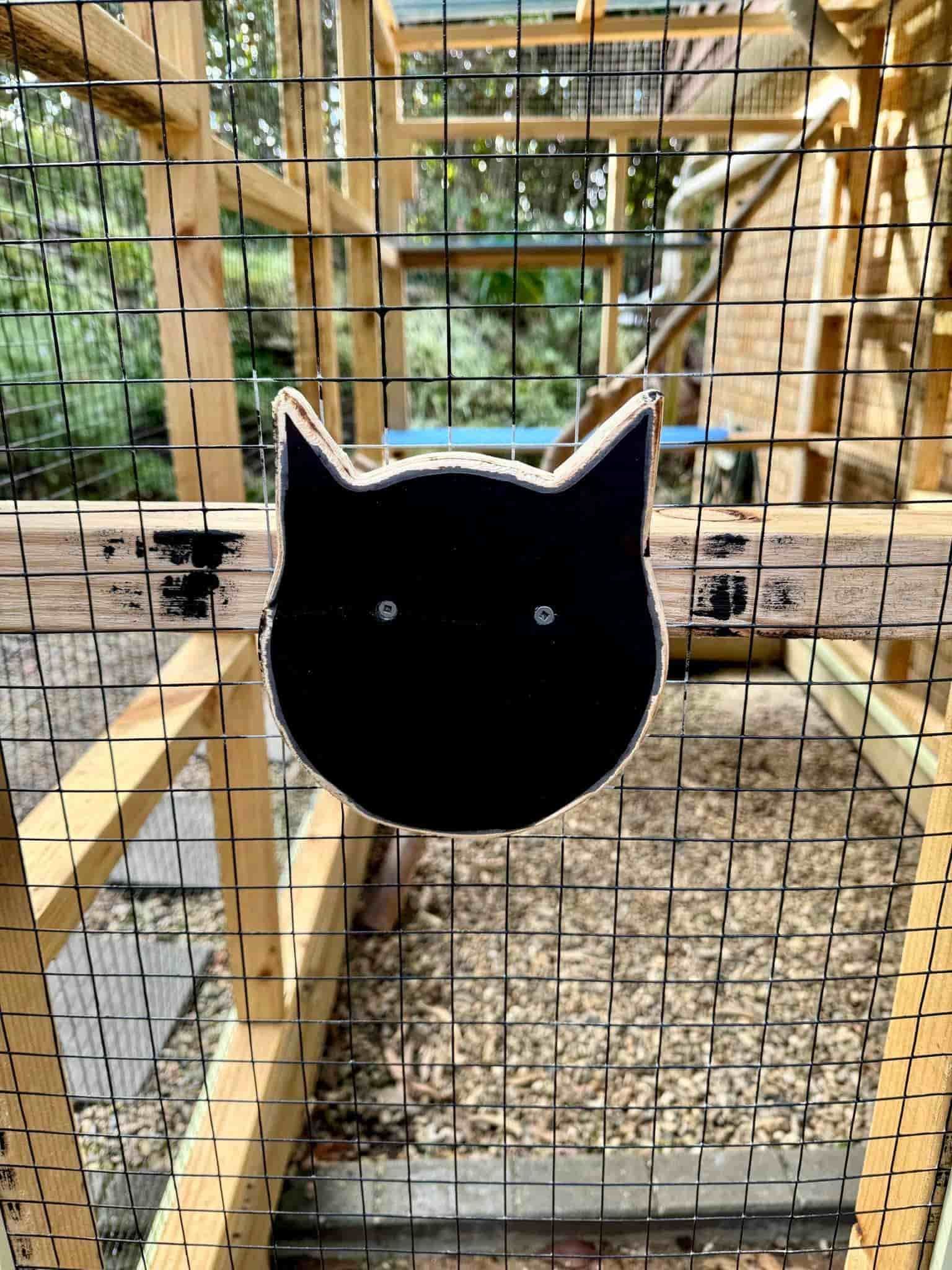 A Black Cat is Behind a Fence in a Cage — Illawarra Gardening Landscapes in Blackbutt, NSW