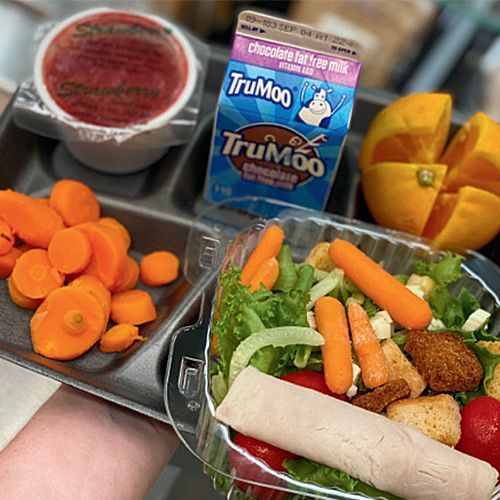 Photos: Inedible Springfield school lunch items addressed