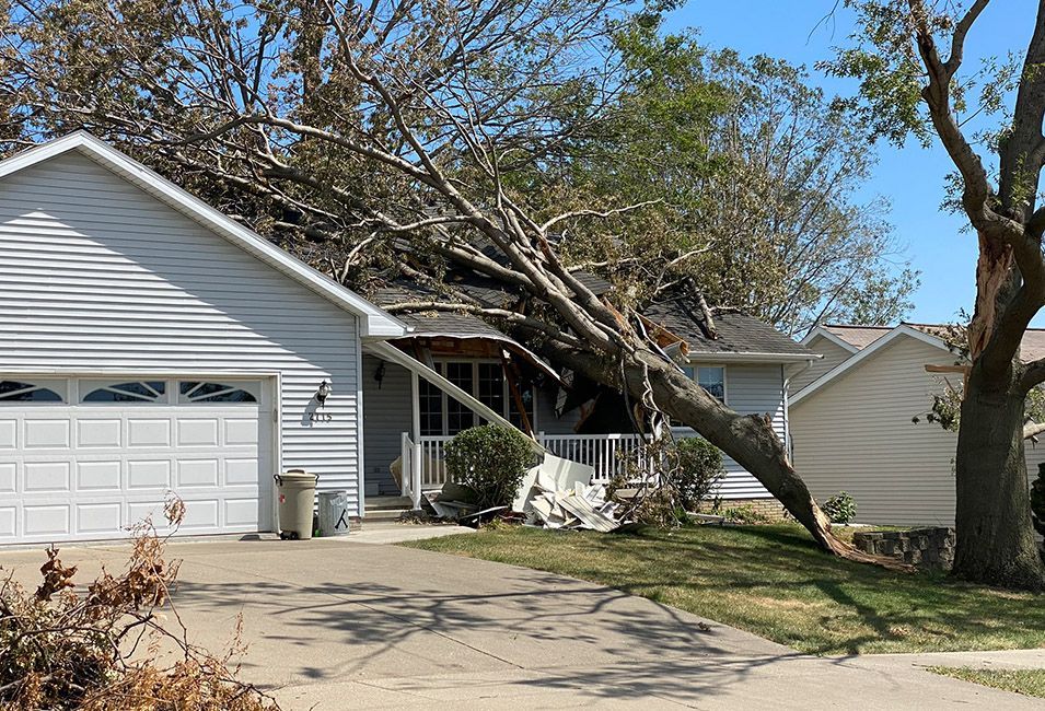 Storm Damage Repair & Other Tree Services — Havertown, PA — Jones Tree Services
