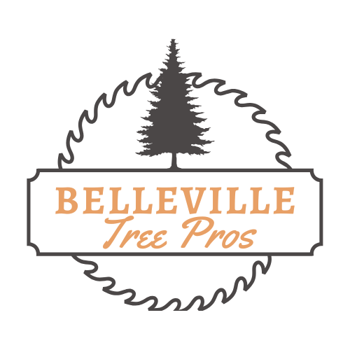 The logo for belleville tree pros shows a pine tree in a circle.