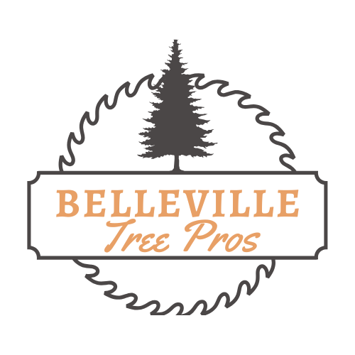 The logo for belleville tree pros shows a pine tree in a circle.