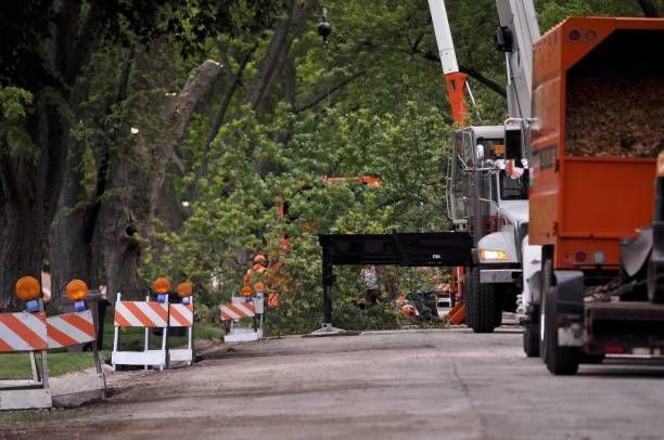 A truck is driving down a road next to a tree that has been cut down.