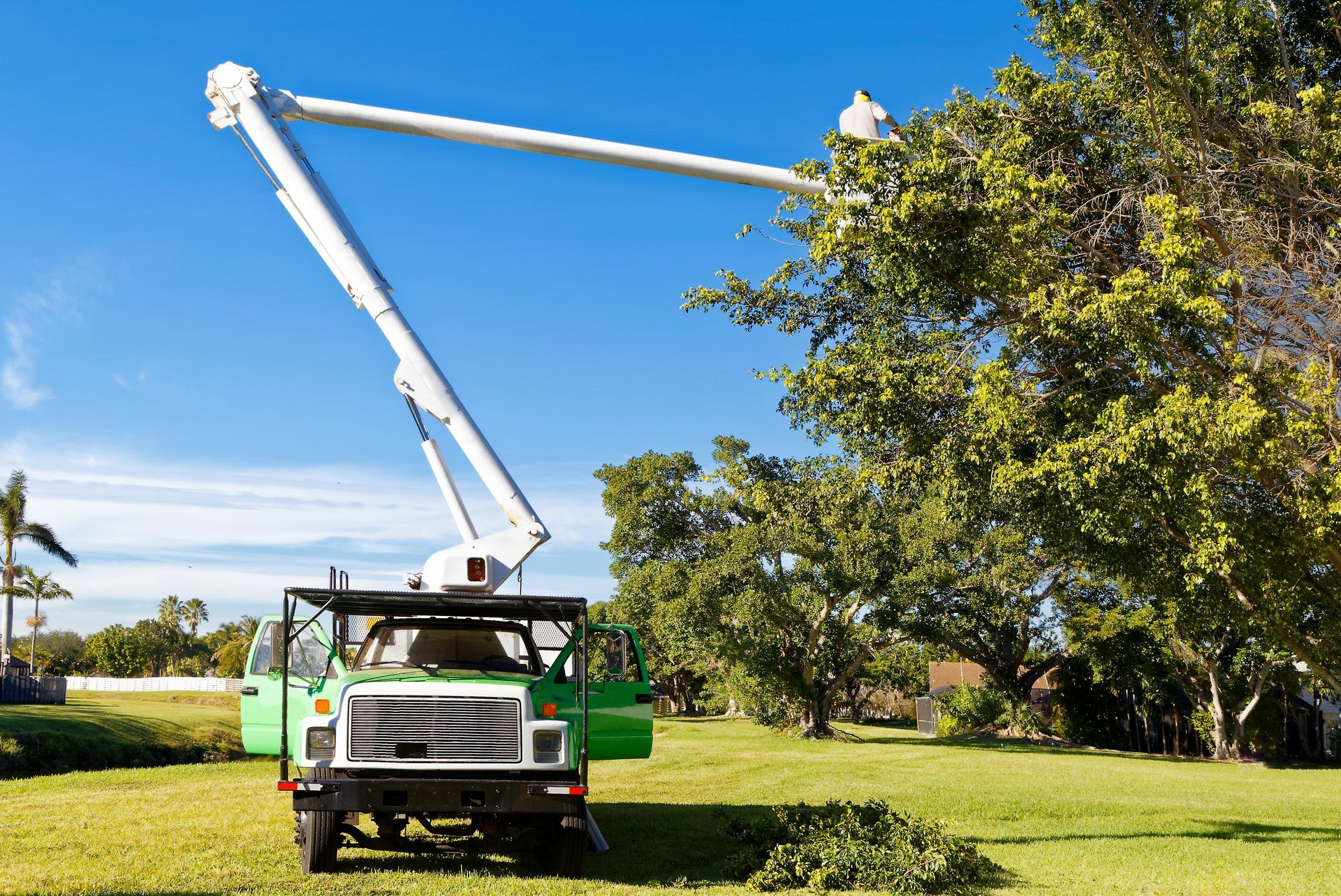 A green truck with a crane attached to it is cutting a tree.