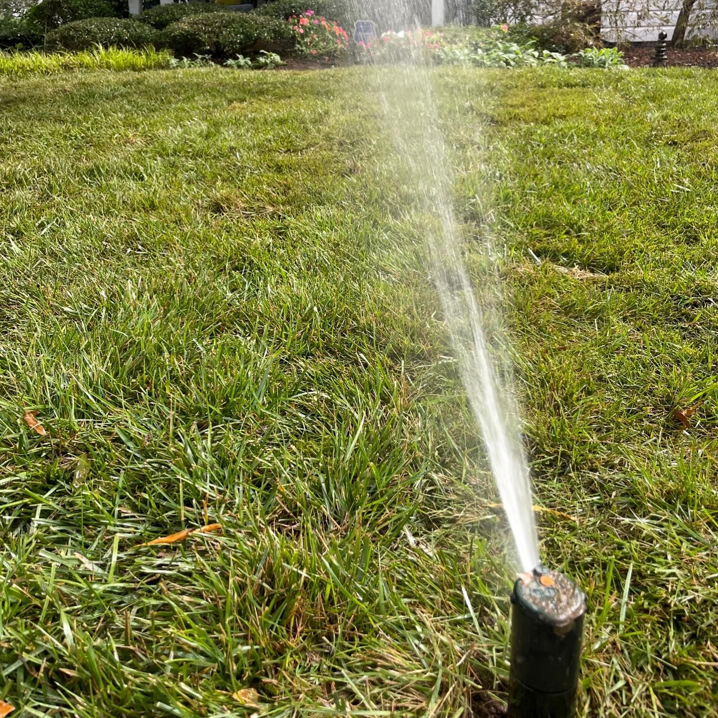 Sprinkler watering a green lawn on a sunny day.