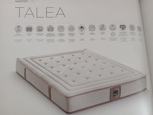 Talea 1