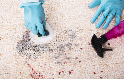 Fun Remedies for a Cleaner Carpet