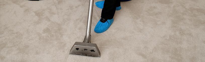 
The Do’s And Dont’s Of Wool Carpet Cleaning And Care
