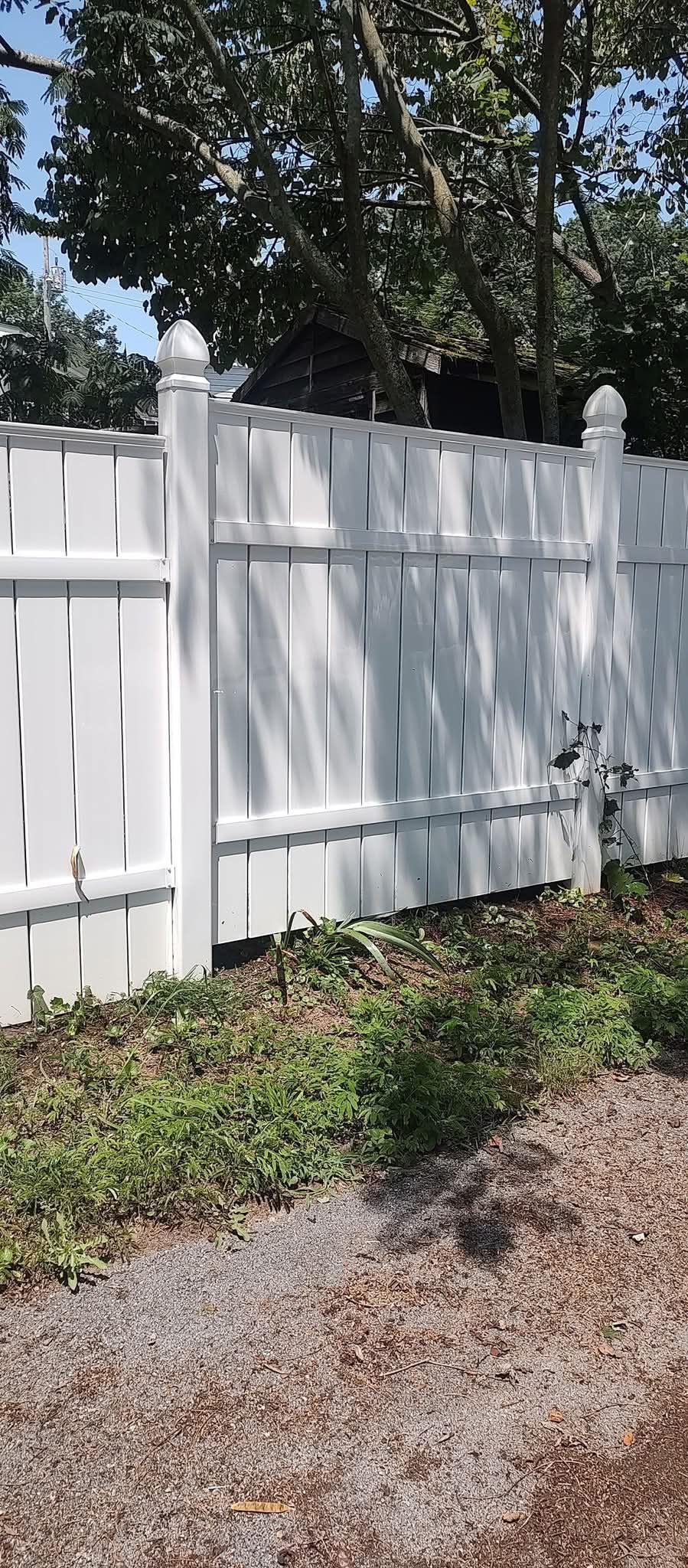 A white picket fence is surrounded by grass and trees.