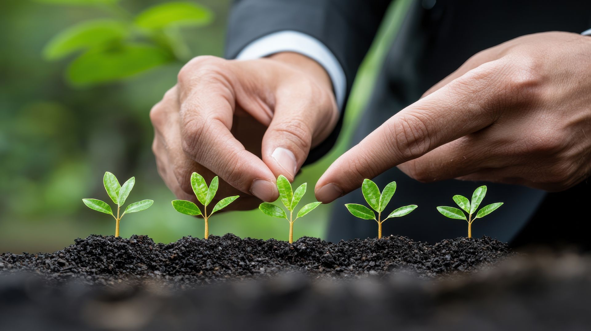 A man in a suit is planting small plants in the dirt.