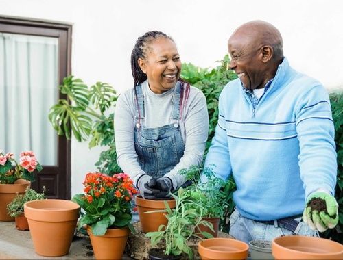 A man and a woman are planting flowers in pots.