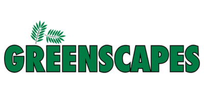 Greenscapes logo in green with leaf accents