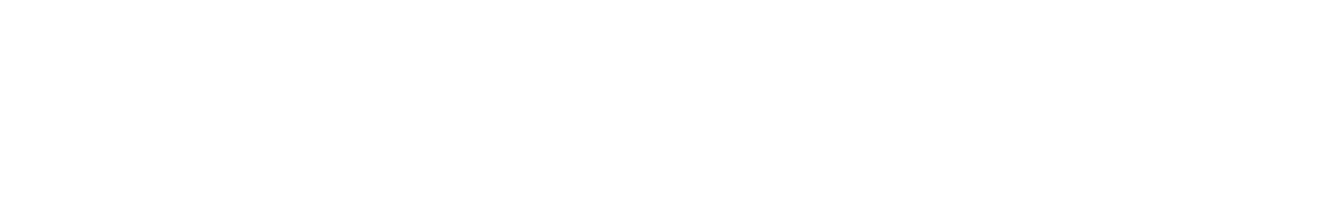 Thin gray horizontal line on a white background, with a small black mark near the left end