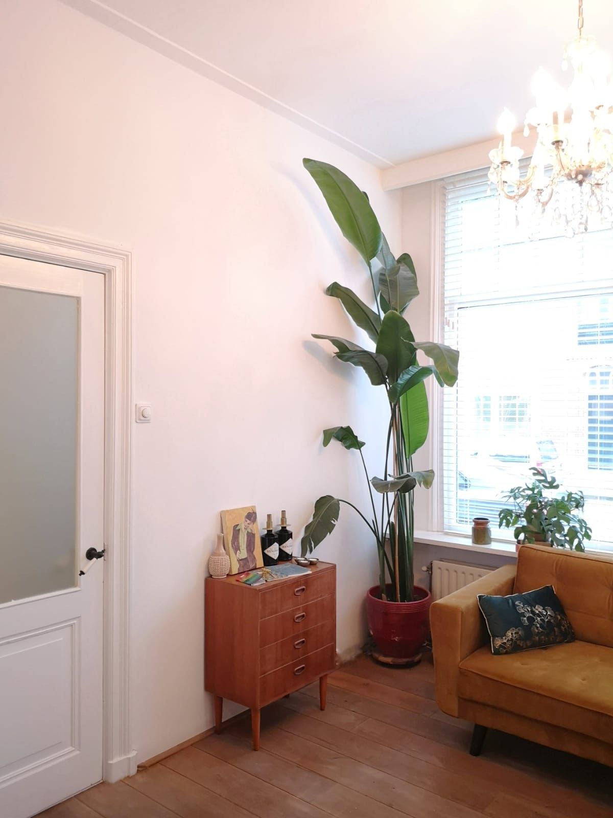 Een woonkamer met een grote plant, een mosterdgele bank en een vintage ladekast.