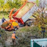 2 men next to a truck containing tree branches