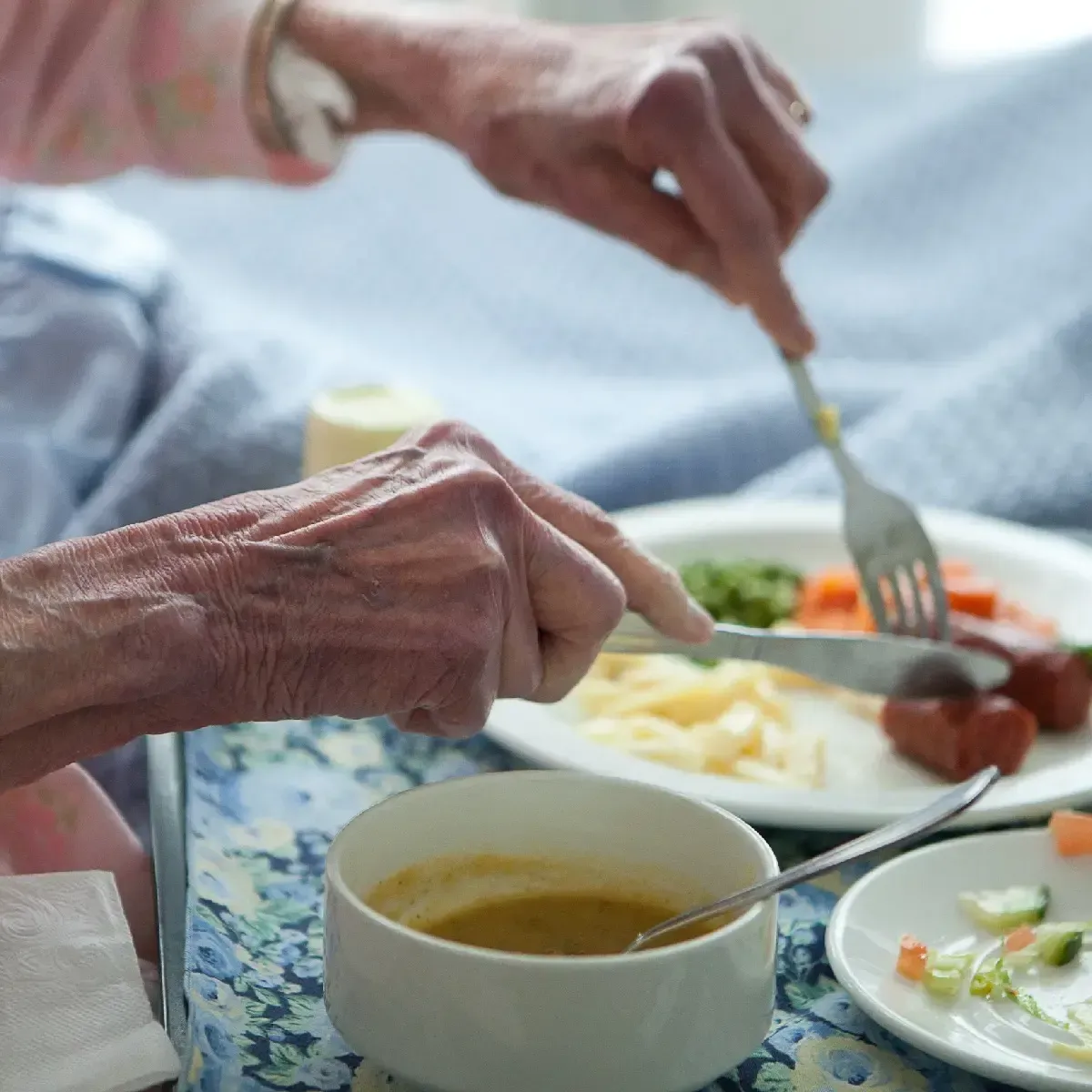 Dragonfly Care Home, Langton Matravers, Swanage | Dining & Daily Delights