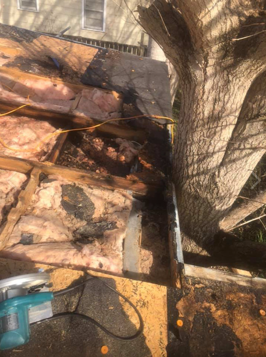 Old rotting roof
