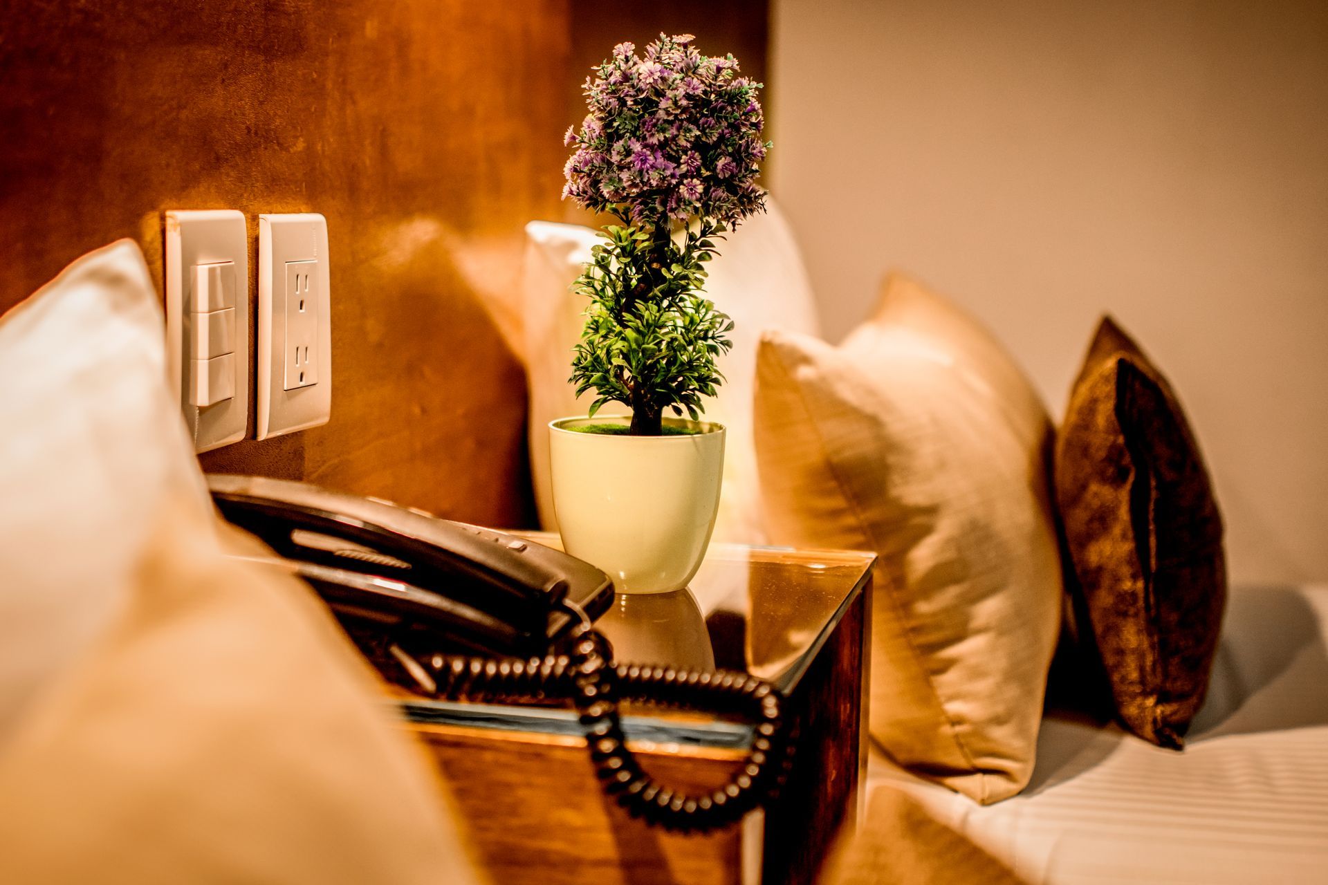 Mesilla de noche con planta, almohadas y teléfono en una habitación de hotel.