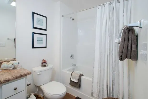 bathroom photo showing tub/shower combo