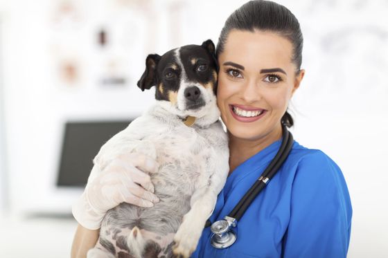 Veterinary Clinic — Nurse Holding A Dog in Van Buren, AR