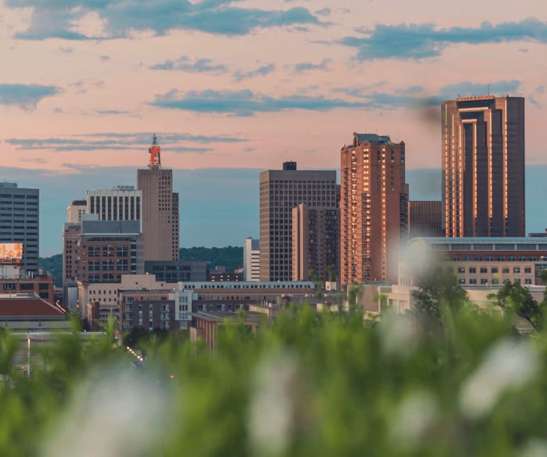 A city skyline at dusk with tall buildings under a pastel sky, partially obscured by out-of-focus foreground greenery.