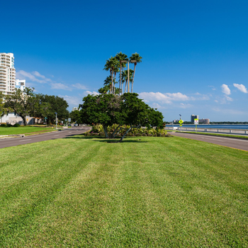 Well landscaped rock stairs and rock wall — Tampa, FL — Chase’s Lawn Service