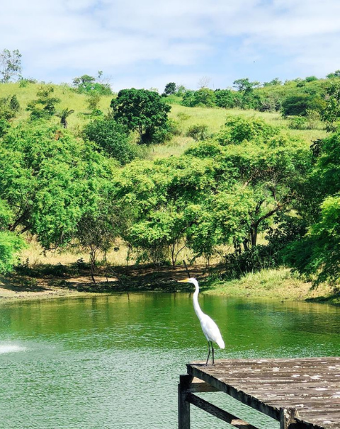 lush green lake in Hacienda Olonche