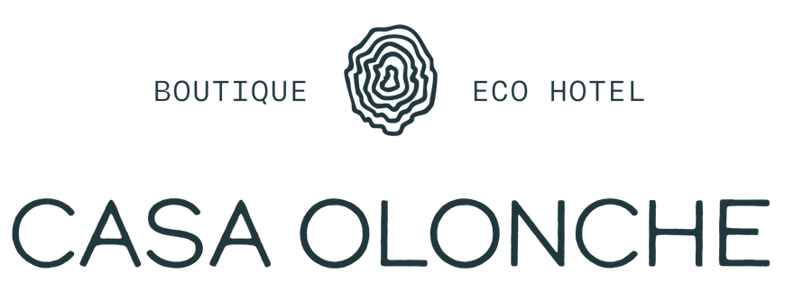 Casa Olonche Boutique Hotel's Logo. Logo is a tree ring, hand drawn,  color navy blue.