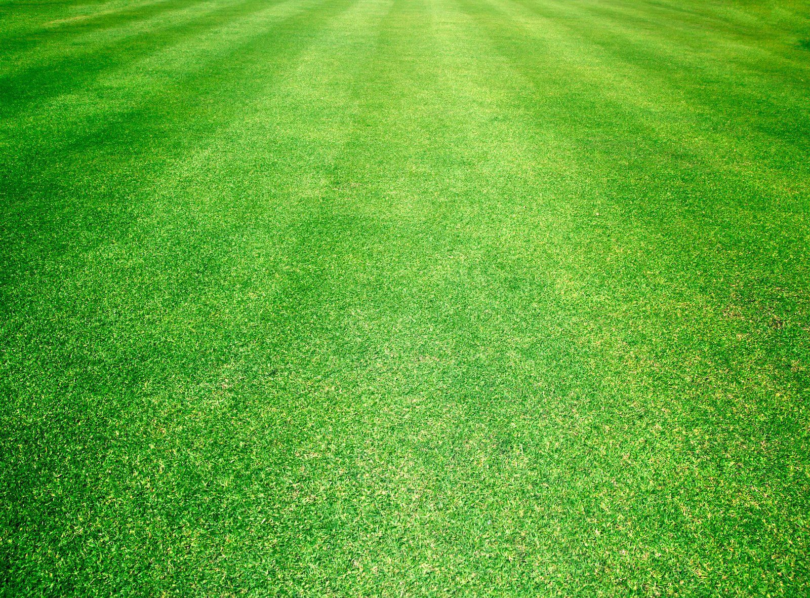 Lush green golf course fairway with neatly manicured grass, under the bright sun on a clear day.