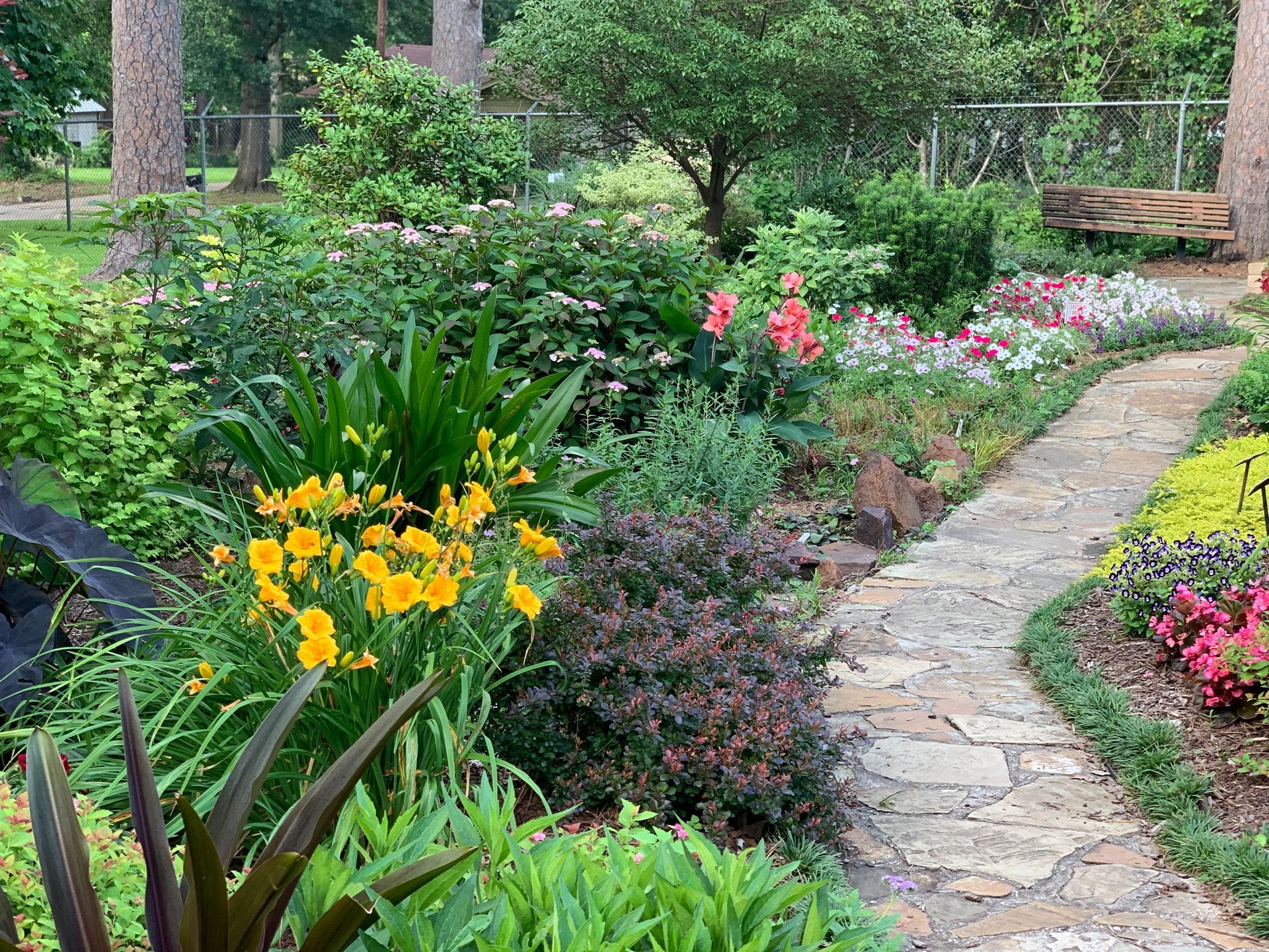 Scenic garden pathway lined with vibrant yellow and red flowers, creating a colorful and inviting outdoor space.