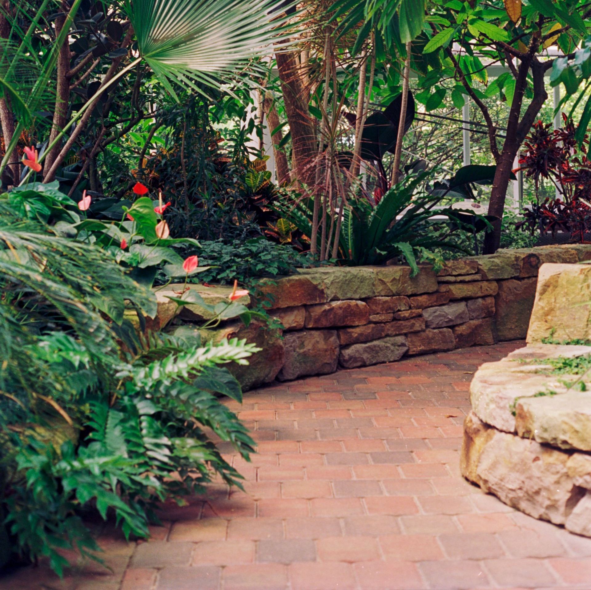 An inviting garden pathway made of red paving slabs, winding its way through lush greenery, providing a charming and visually appealing route through the garden.