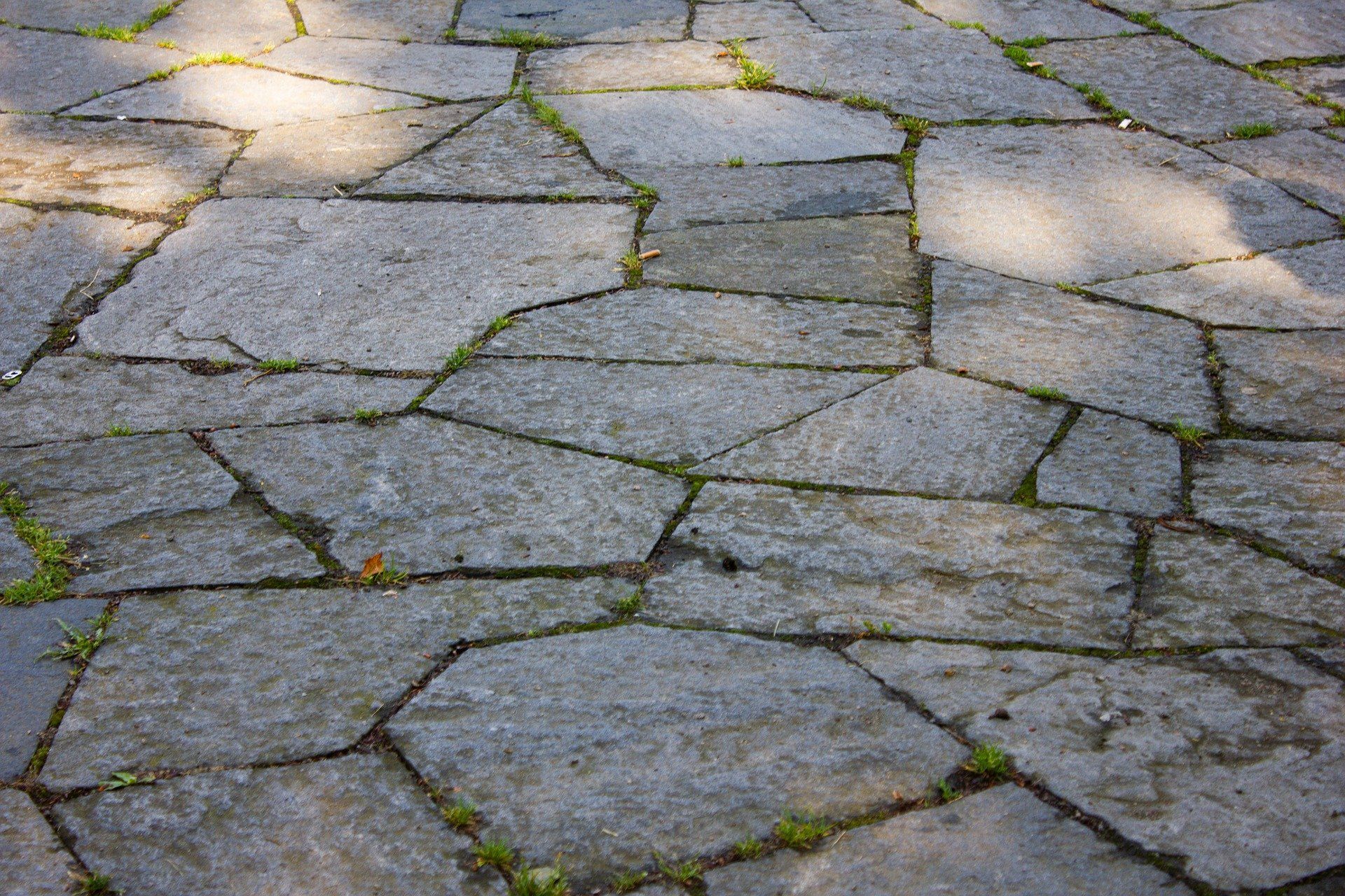 Closeup view of a gray flagstone pathway, showcasing its natural texture and intricate details.