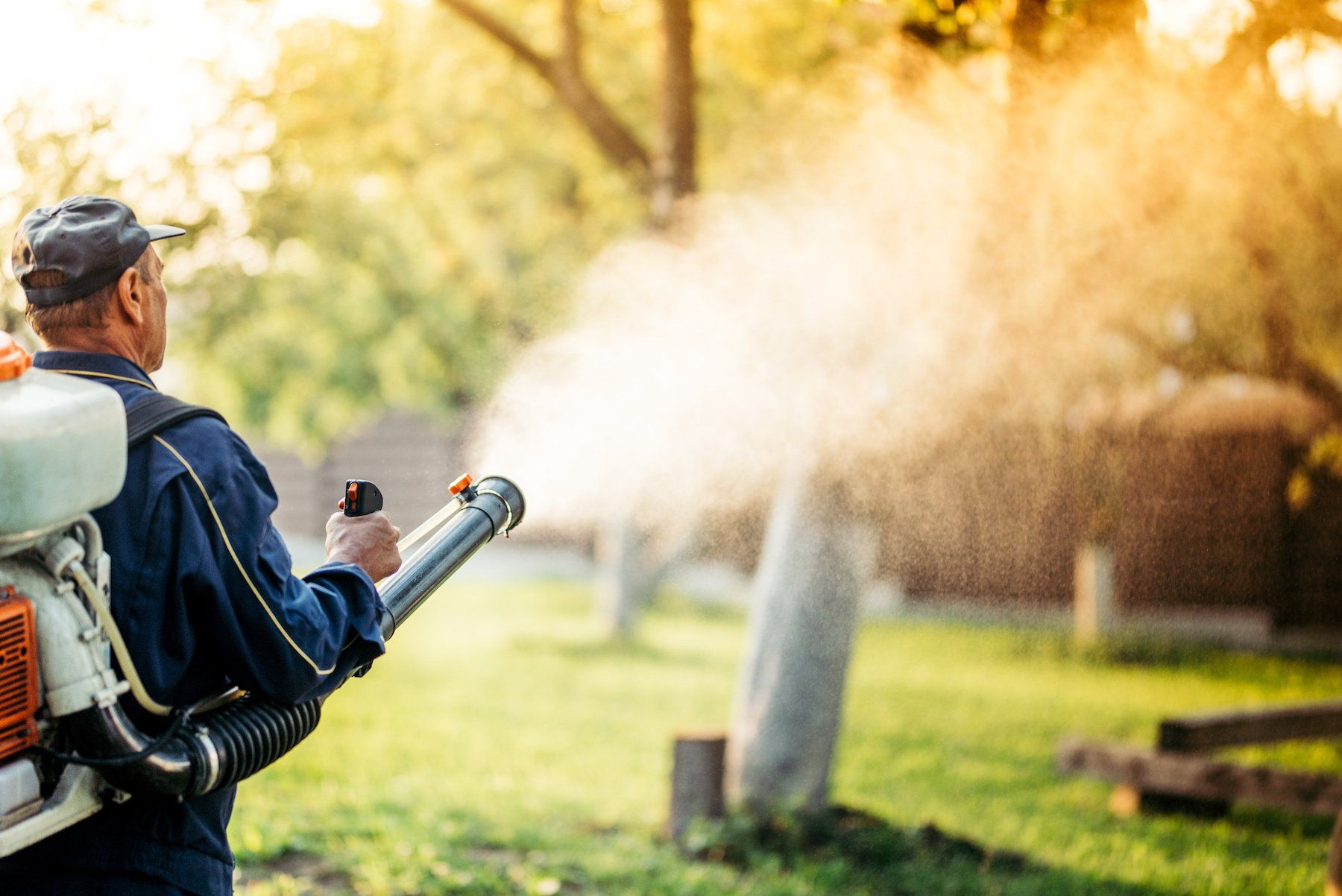 A farmer operates a sprayer machine to apply pesticide in a fruit orchard during the golden sunset. The machine releases a fine mist, ensuring thorough pest control for healthy crops.
