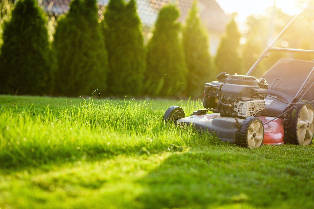 A person mowing a lush green lawn on a sunny day.