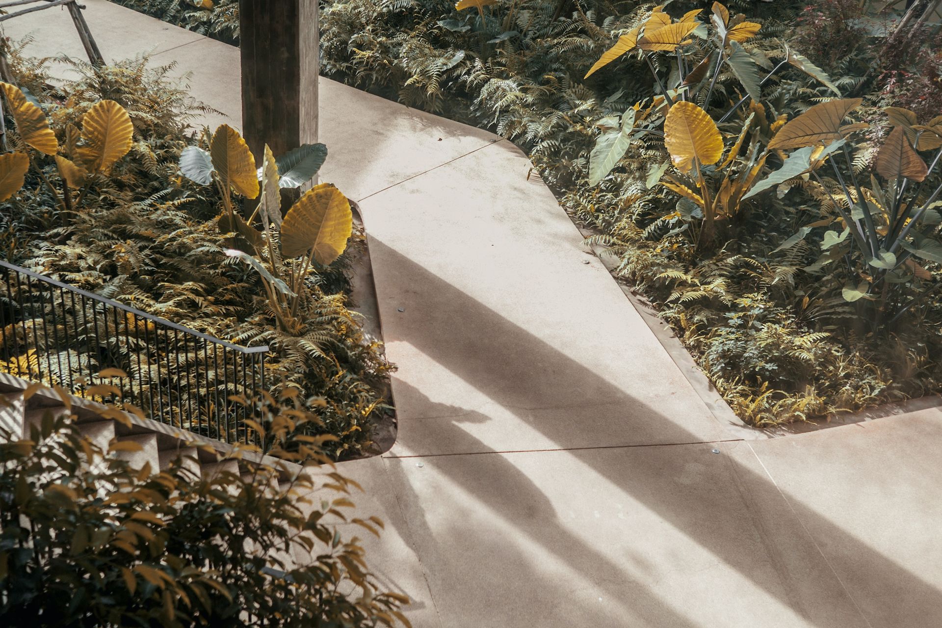 Serene concrete pathway with plants on either side.