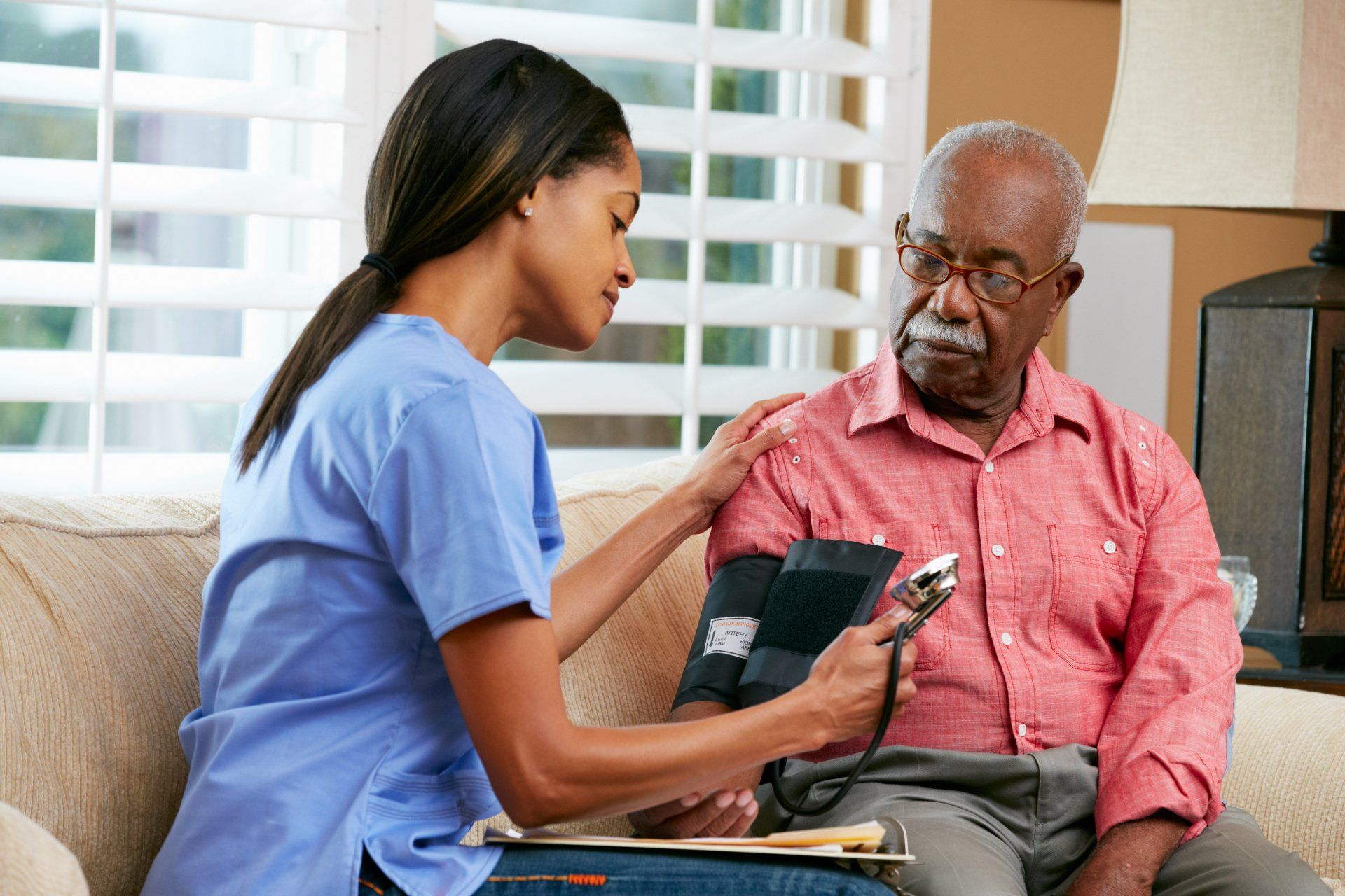 Nurse Discussing Records With Senior Female Patient During Home Visit