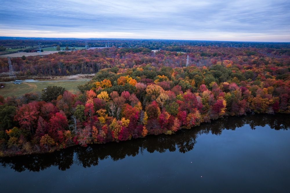 Aerial view of a colorful forest with red, orange, and yellow trees bordering a dark blue lake under a cloudy sky.