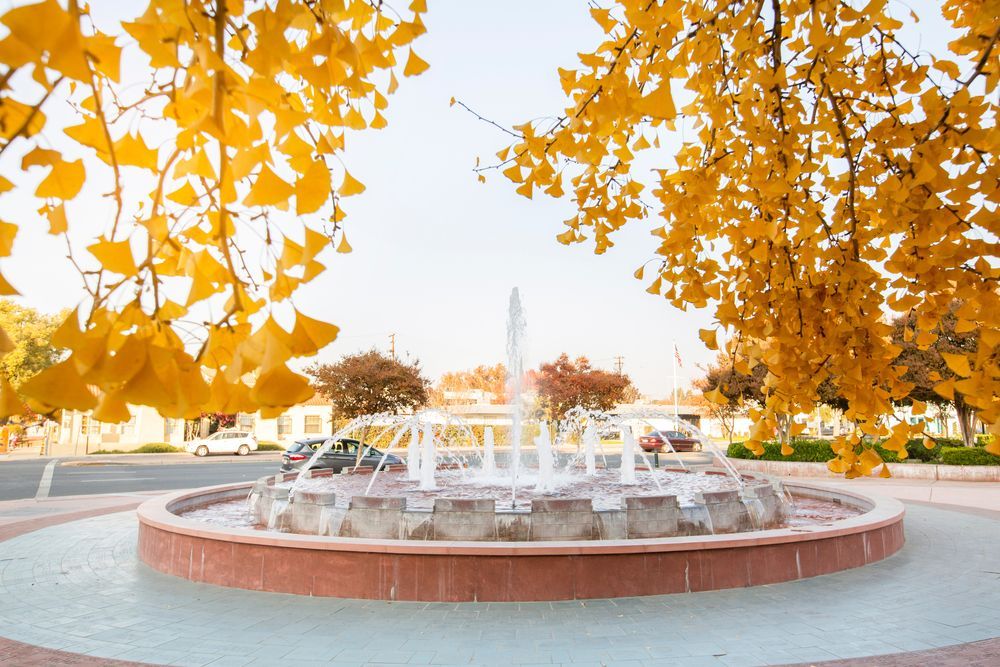 Fountain in a circular basin, framed by yellow autumn leaves.