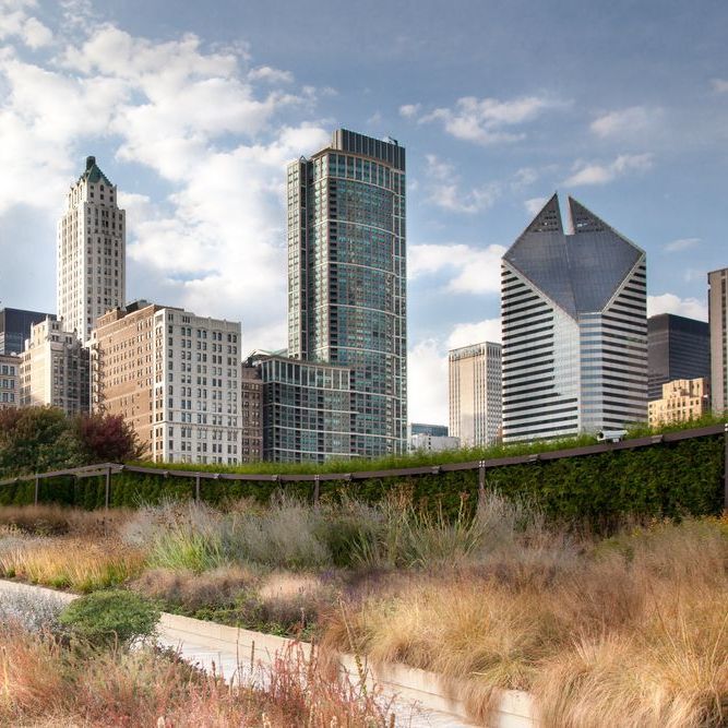 A city skyline with a few tall buildings in the foreground