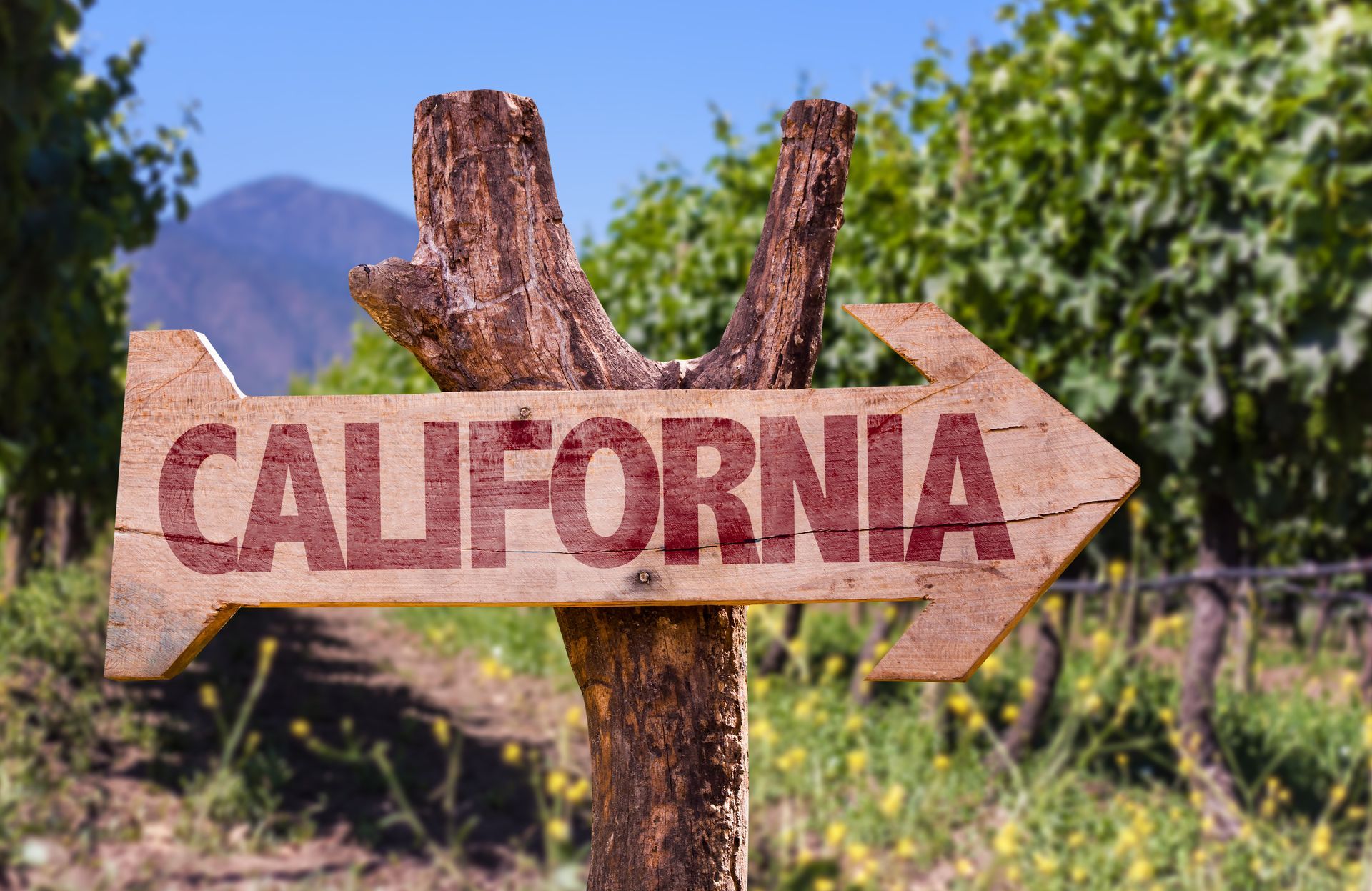 A wooden sign with an arrow pointing to California