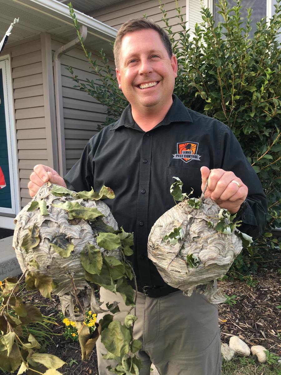 Hives — Man Holding Insect Hives in Rochester, MN