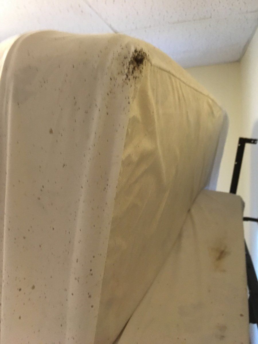 Home Furniture — Signs Of Bed Bugs in Rochester, MN