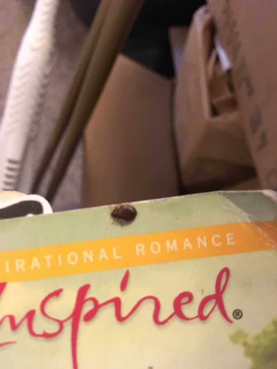 Flee — Flee On The Book in Rochester, MN