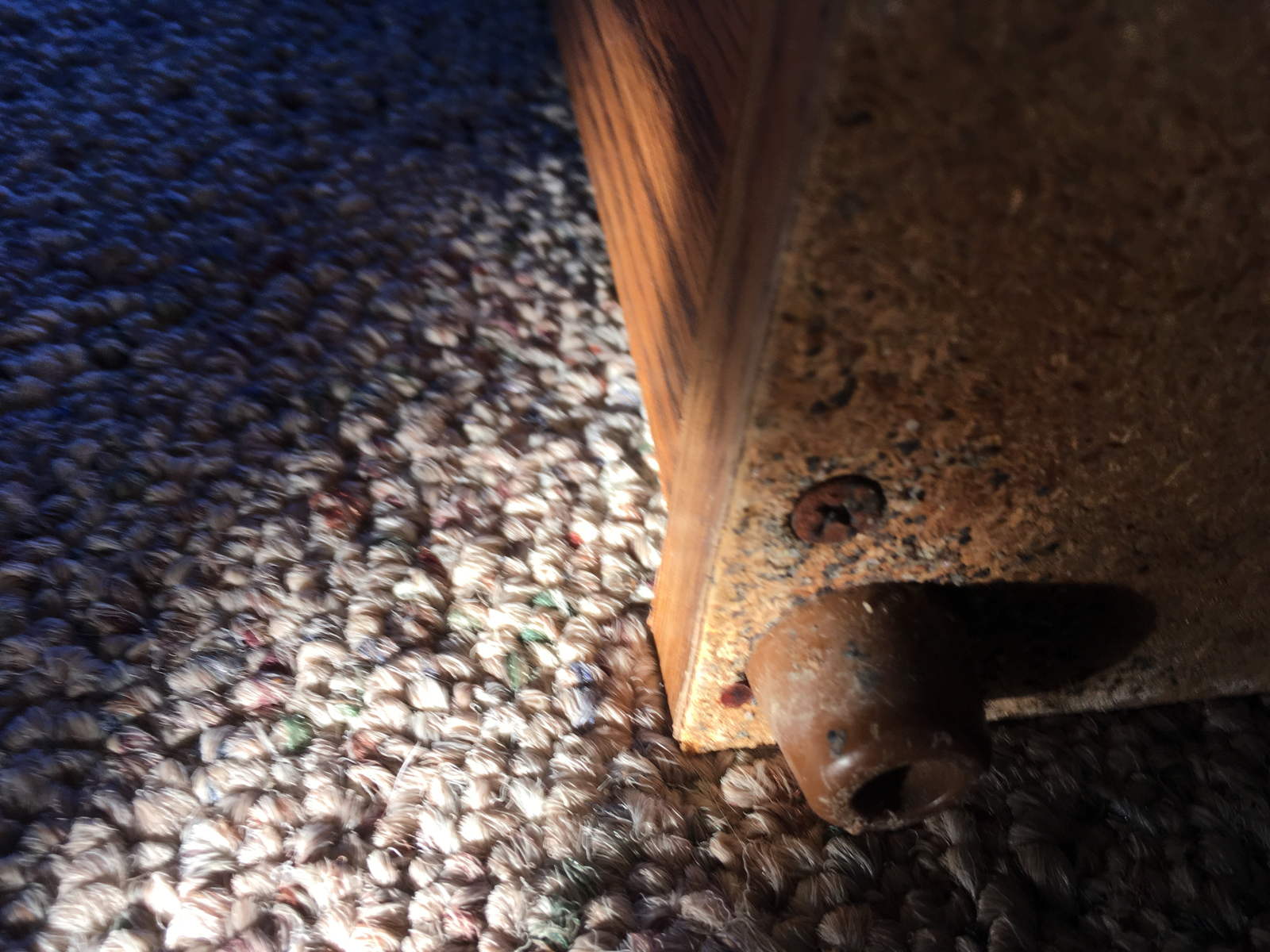 Pest — Checking Wood Bottom Part in Rochester, MN