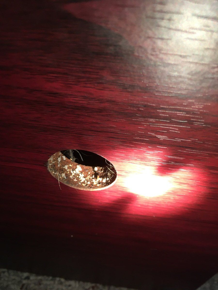 Pest Control Services — Termite Causes On The Wood in Rochester, MN