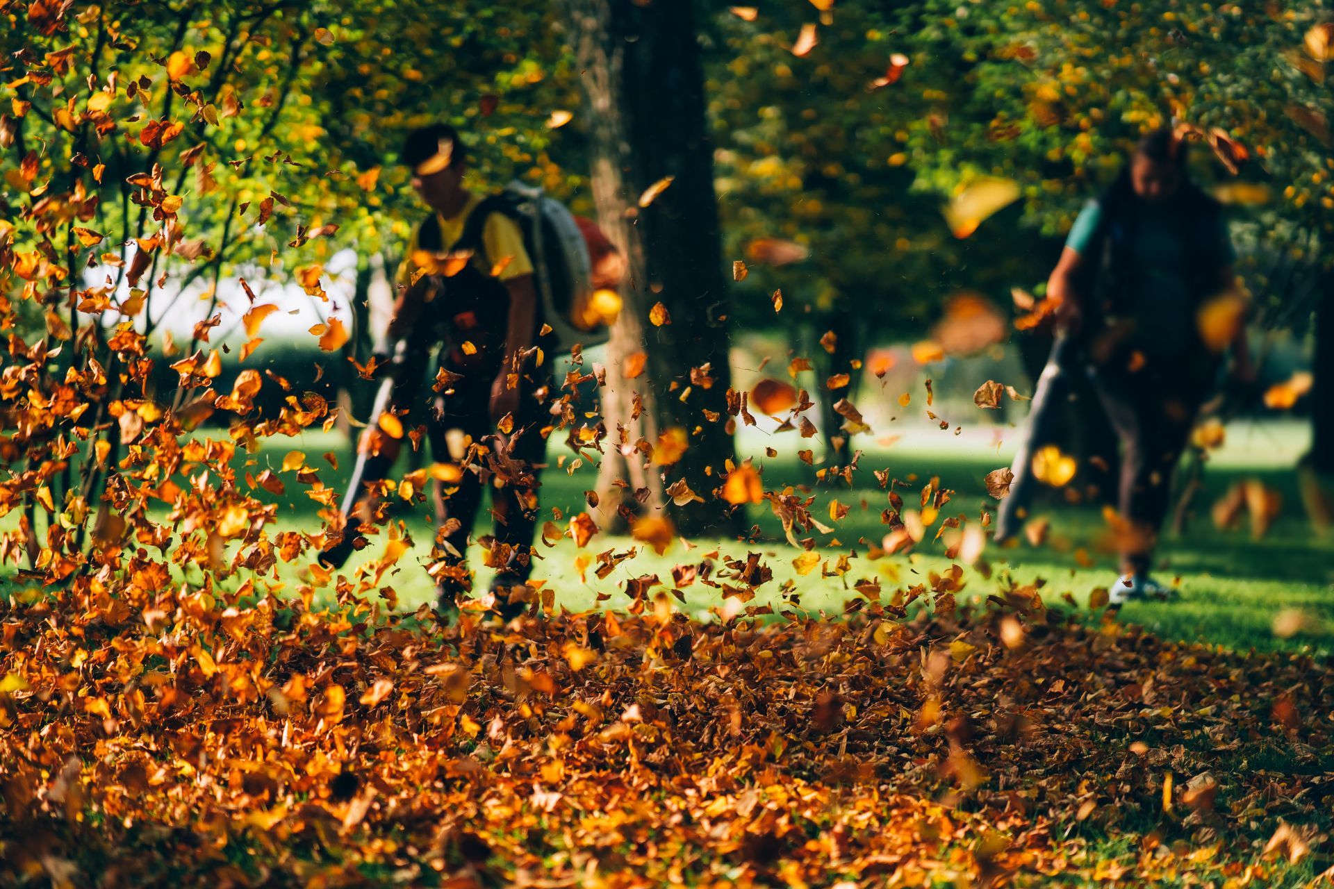 Two people using leaf blowers in a grassy park, autumn leaves flying.